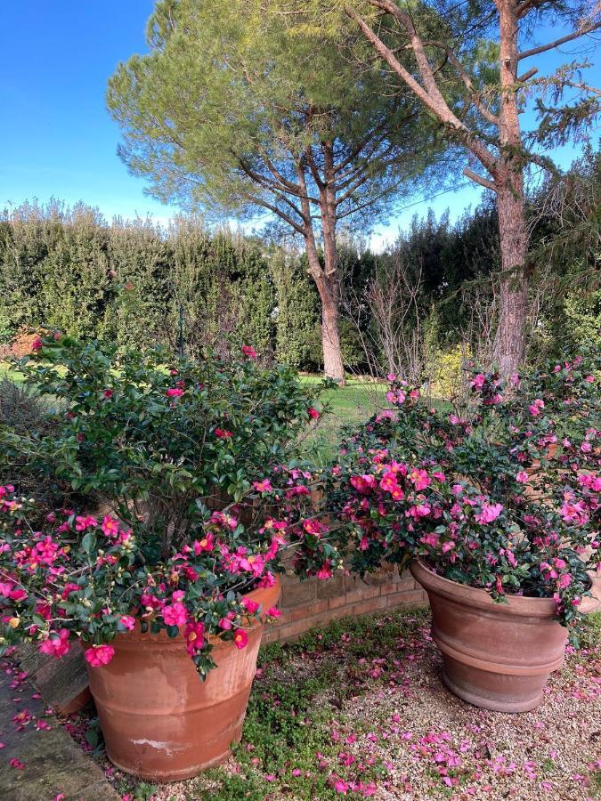 B&B Villa Fioreconero Montacuto 外观 照片